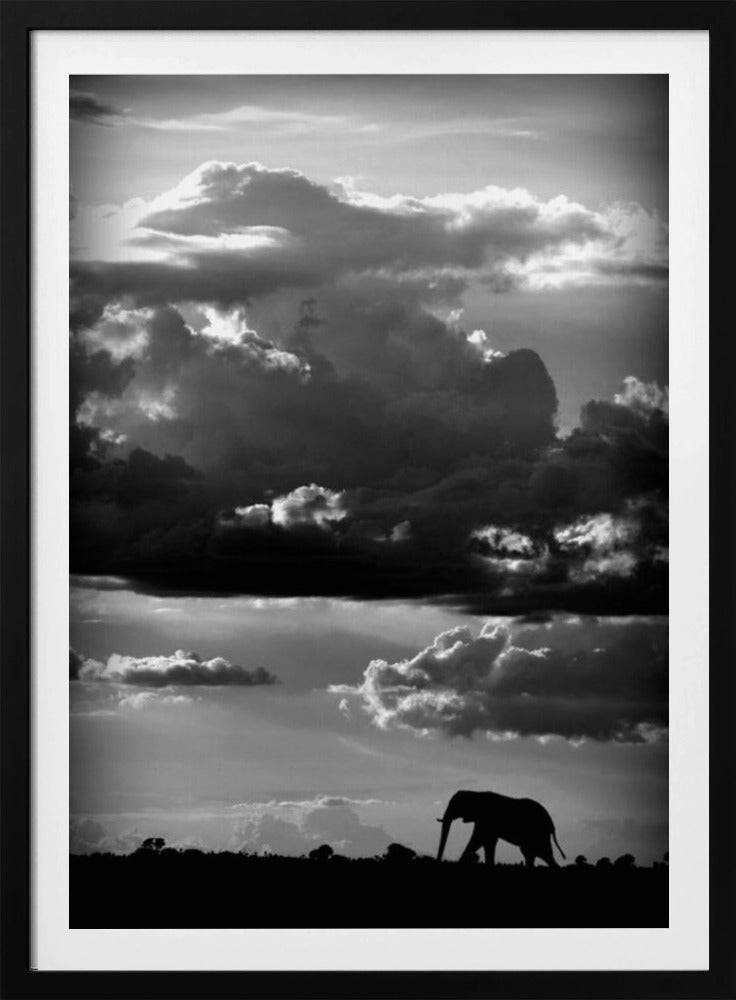 Han vandrar under en afrikansk himmel | Poster