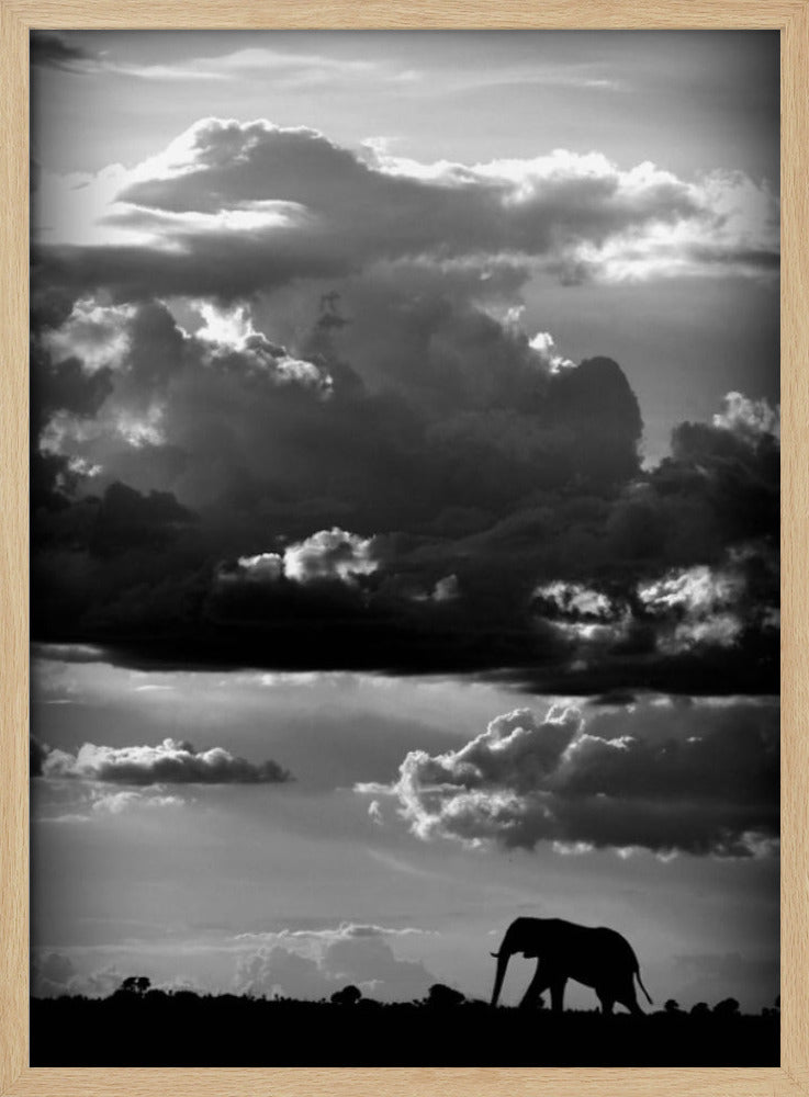 Han vandrar under en afrikansk himmel | Poster