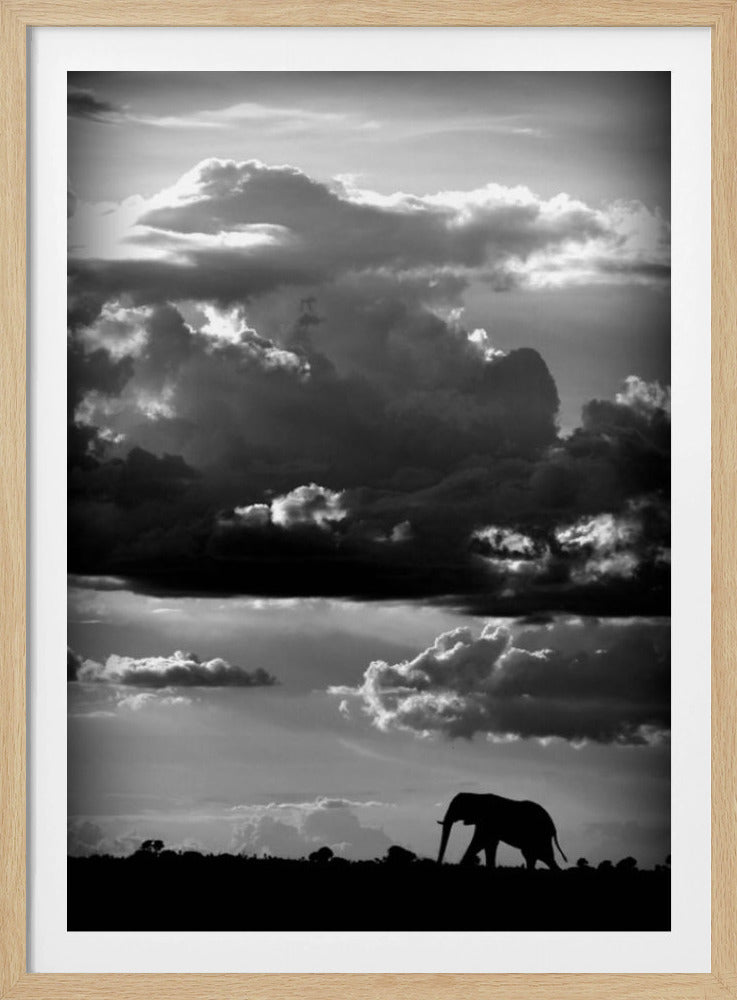 Han vandrar under en afrikansk himmel | Poster