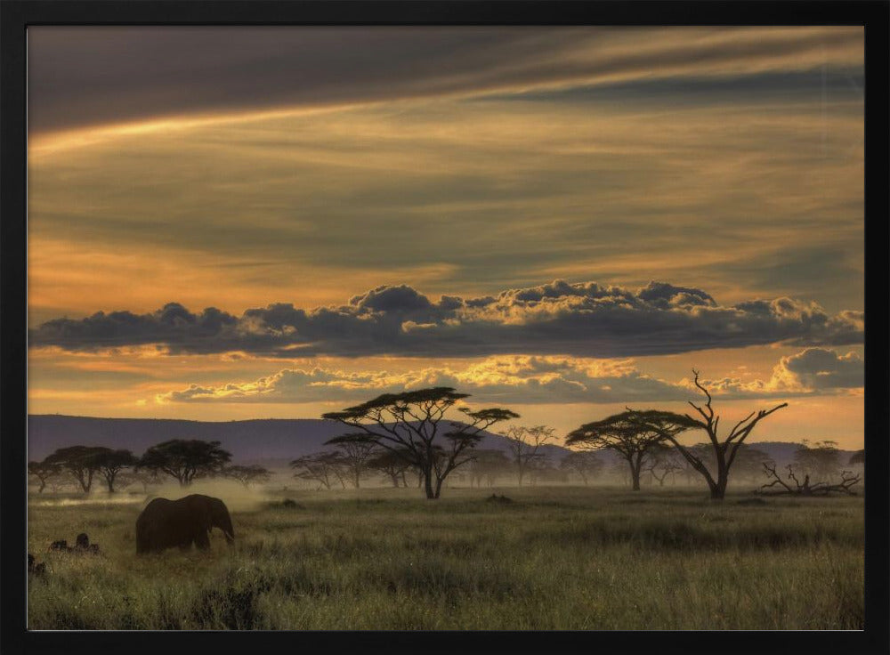 Afrika | Affisch