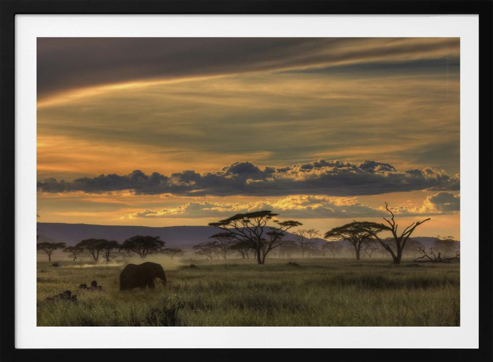 Afrika | Affisch