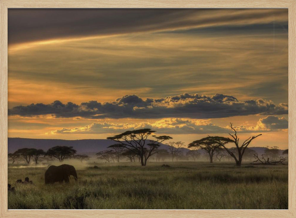 Afrika | Affisch