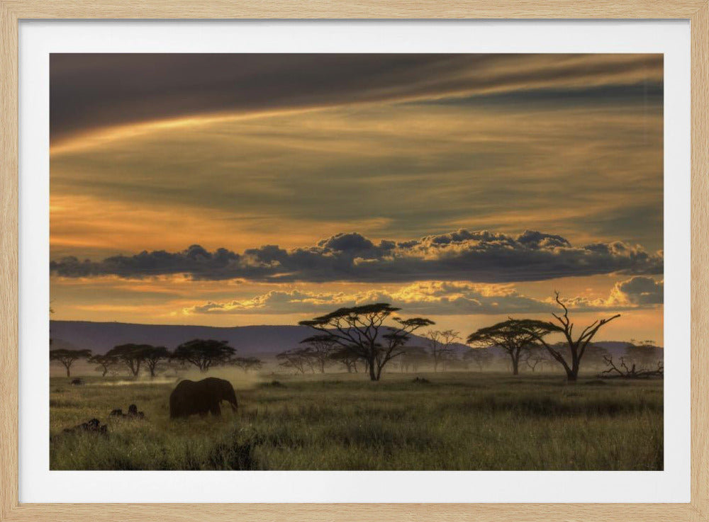 Afrika | Affisch