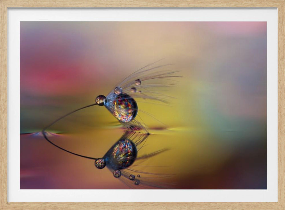 Färglägg mörkret | Poster