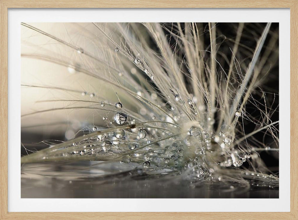 Pearls | Poster