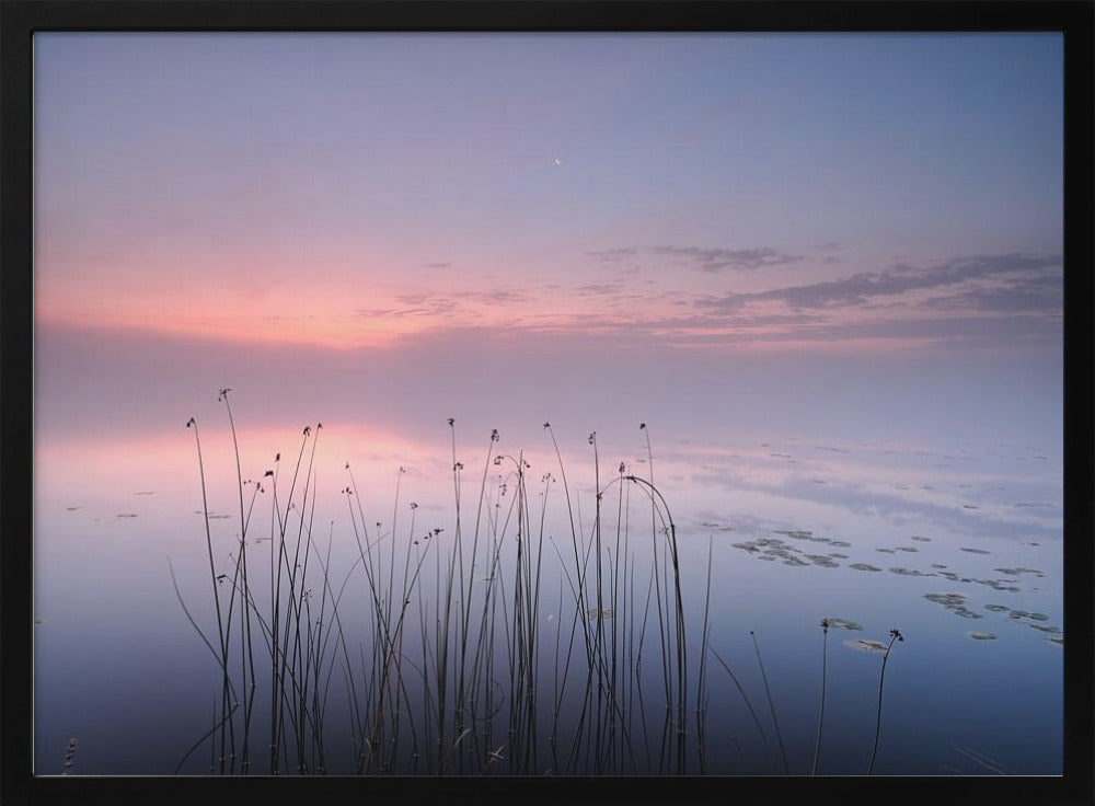 Lake | Poster