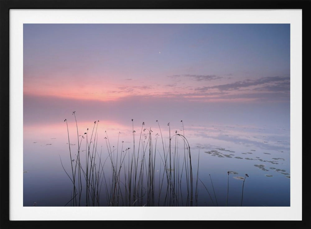 Lake | Poster