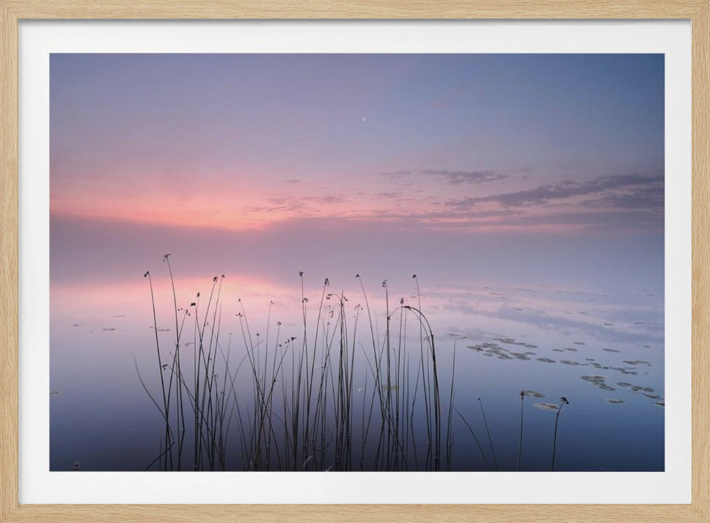Lake | Poster
