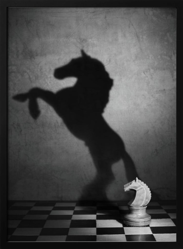 En mustangs själ | Poster