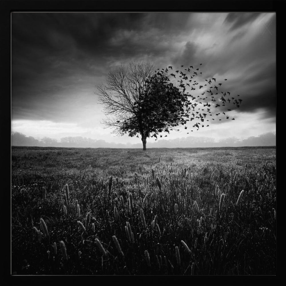 Illusion d'un printemps perdu | Affisch