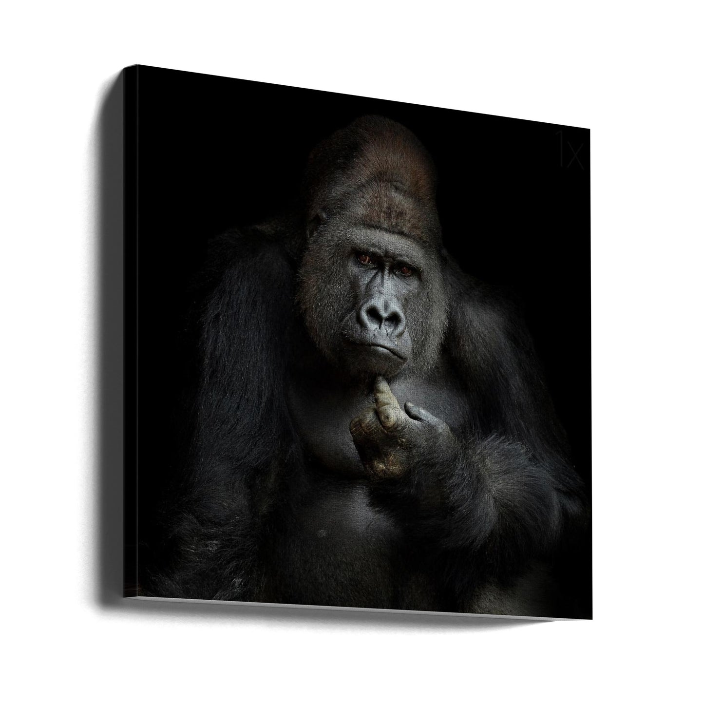 Enligt min mening ... | Canvas