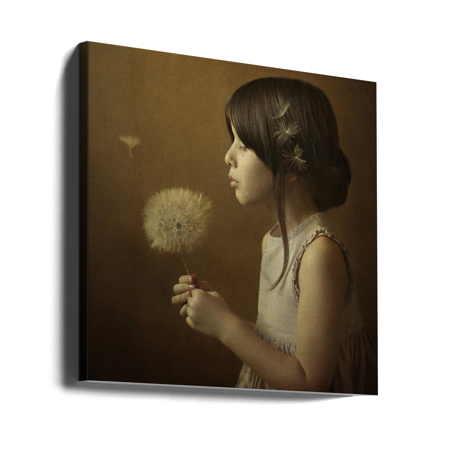 En maskrosdikt | Canvas