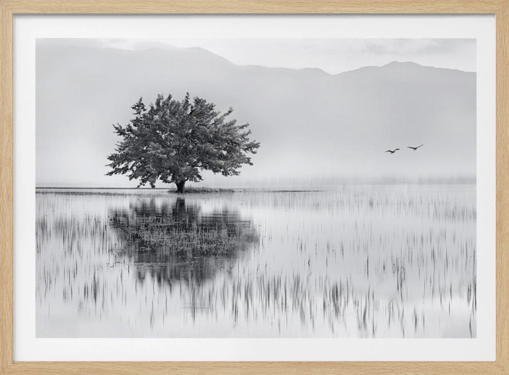 Specchio primaverile | Poster - Stampe d’Arte