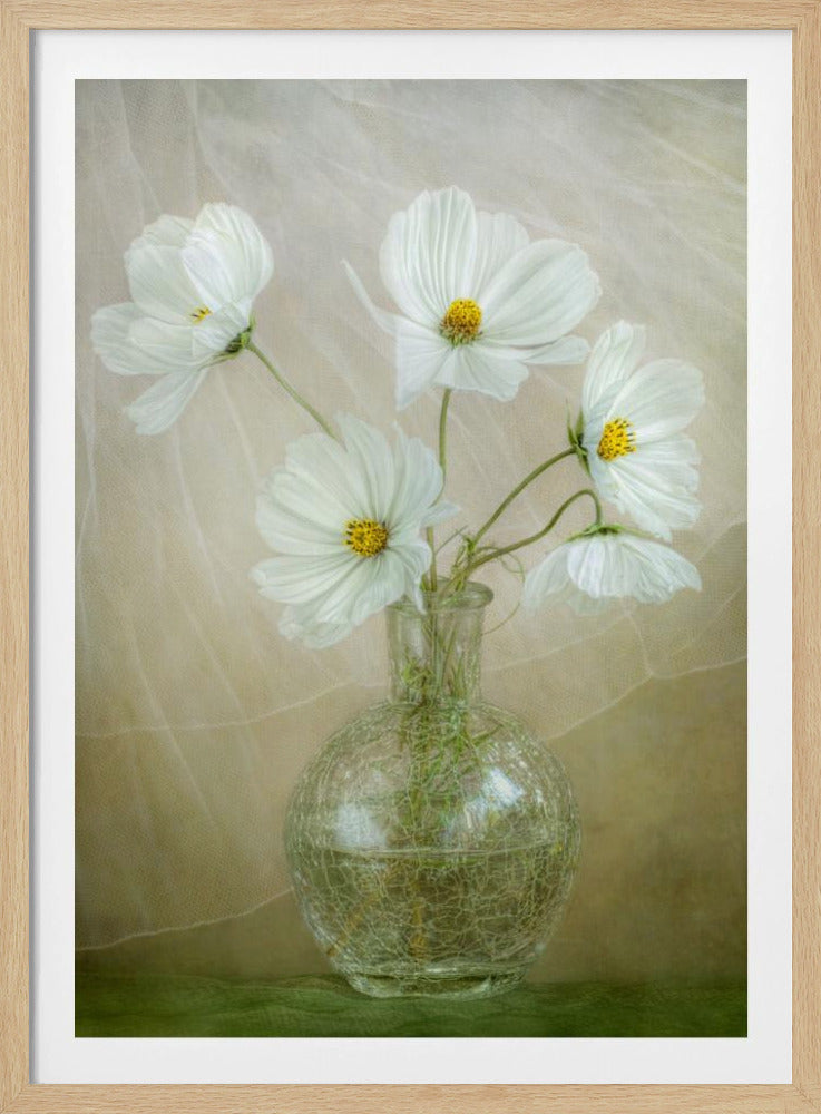Cosmos breeze | Poster