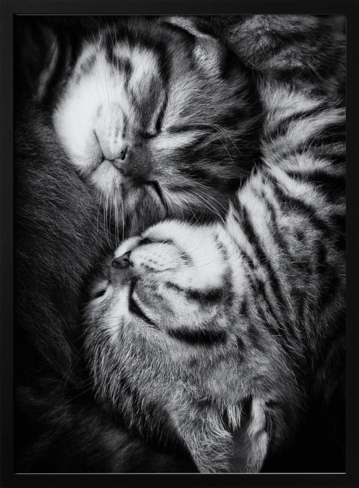 Yin och Yang | Poster
