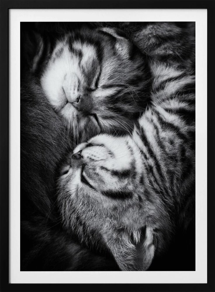 Yin och Yang | Poster
