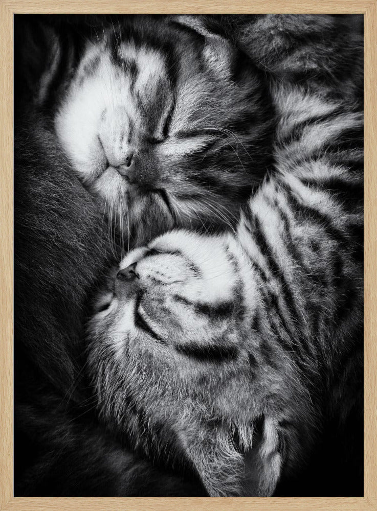 Yin och Yang | Poster