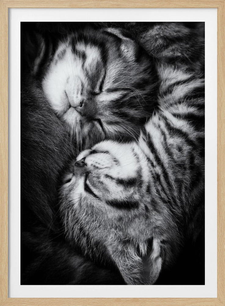 Yin och Yang | Poster