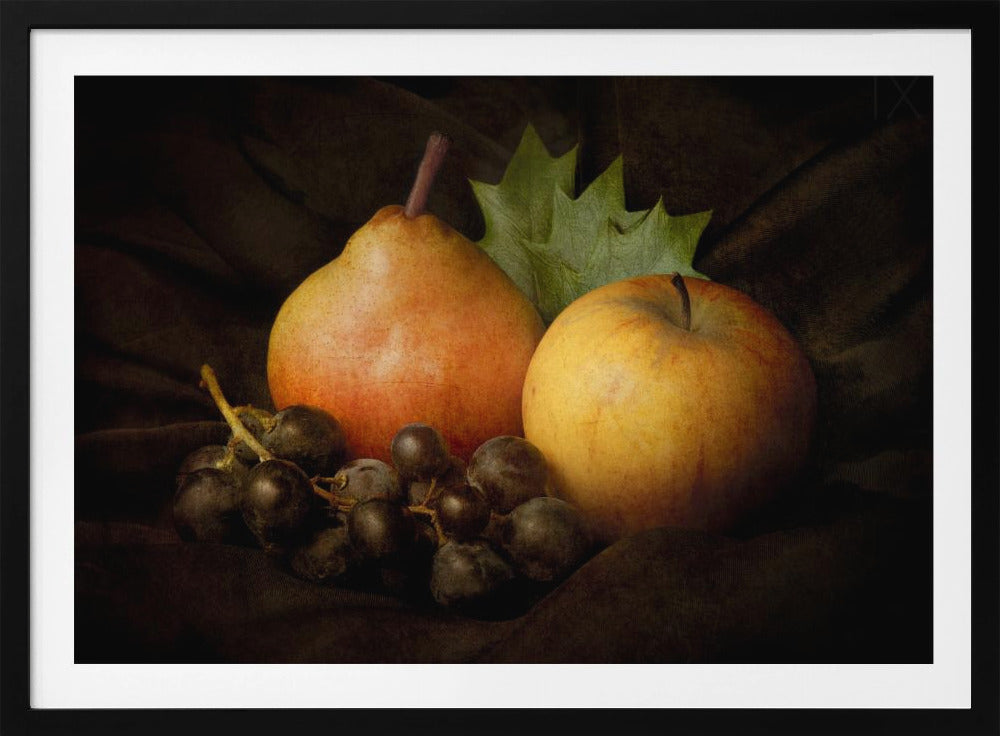 Nature Morte #3 | Poster