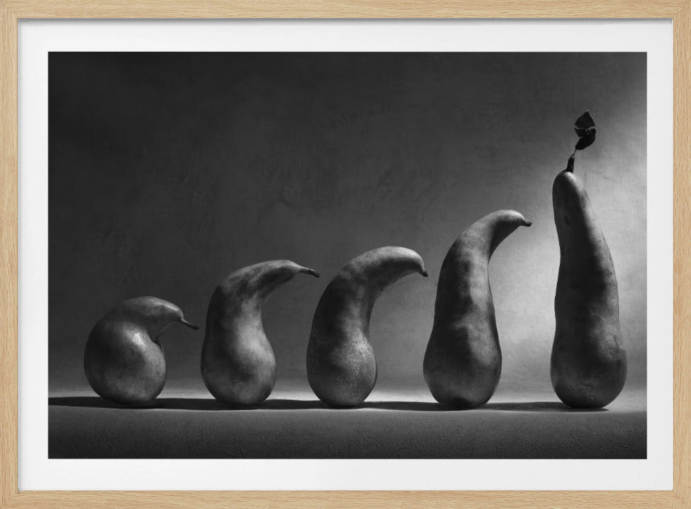 Evolutionen | Poster