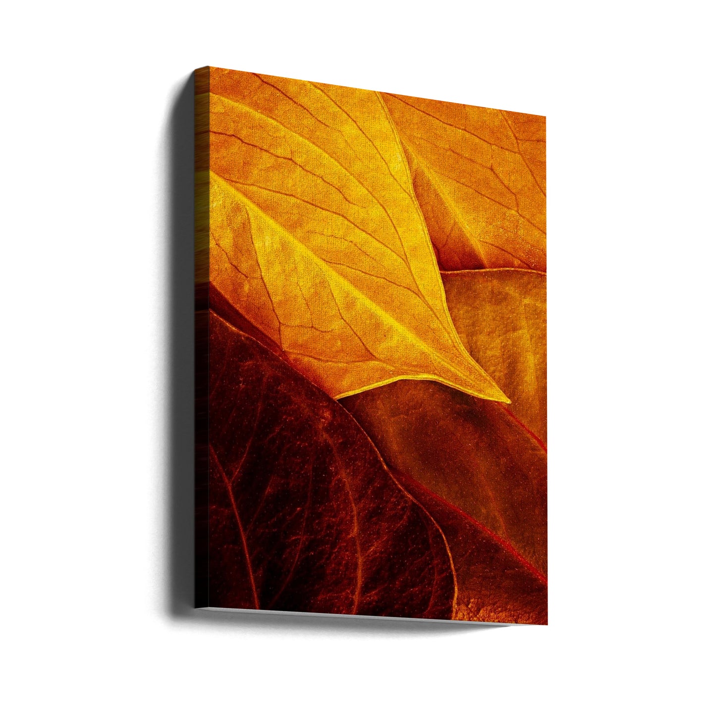 Leaves | Canvas