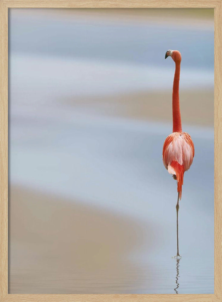 I | Poster