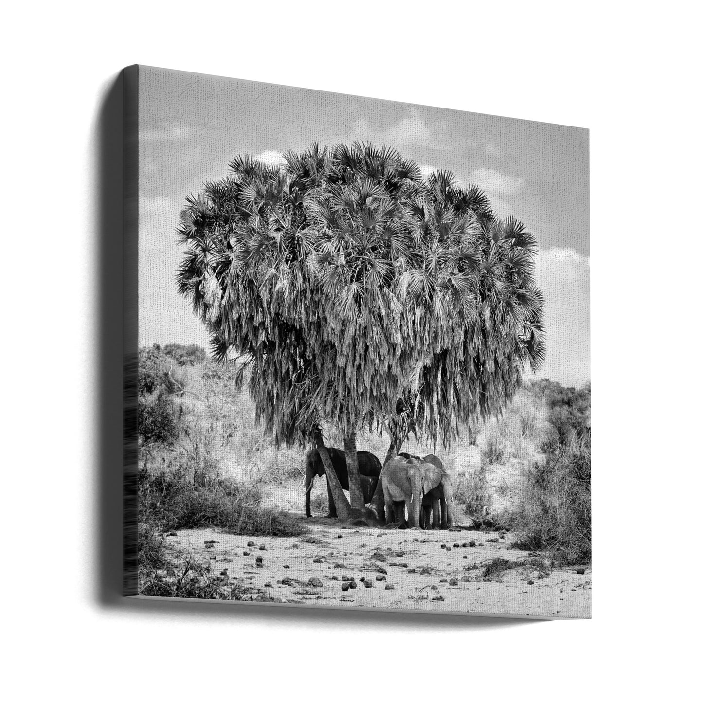 Middagsmöte | Canvas