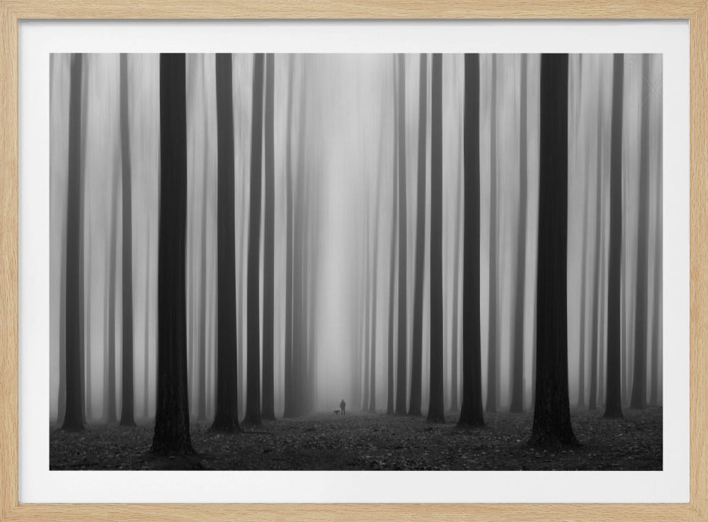 Labyrint | Poster