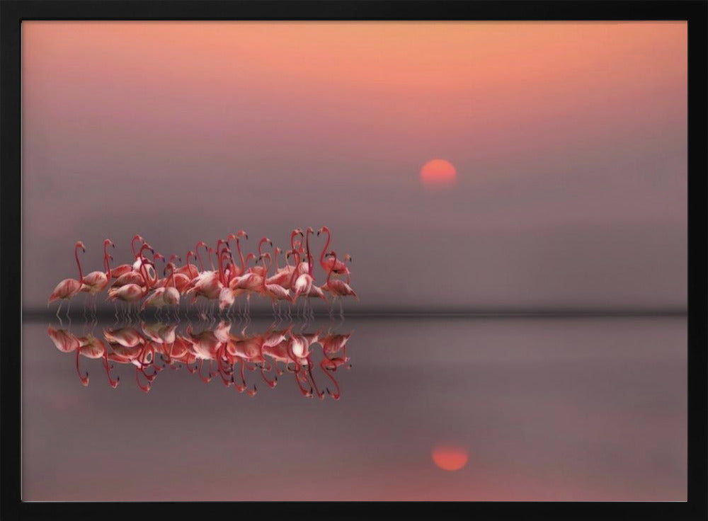 coucher de soleil violet | Posters - Affiche Artistique