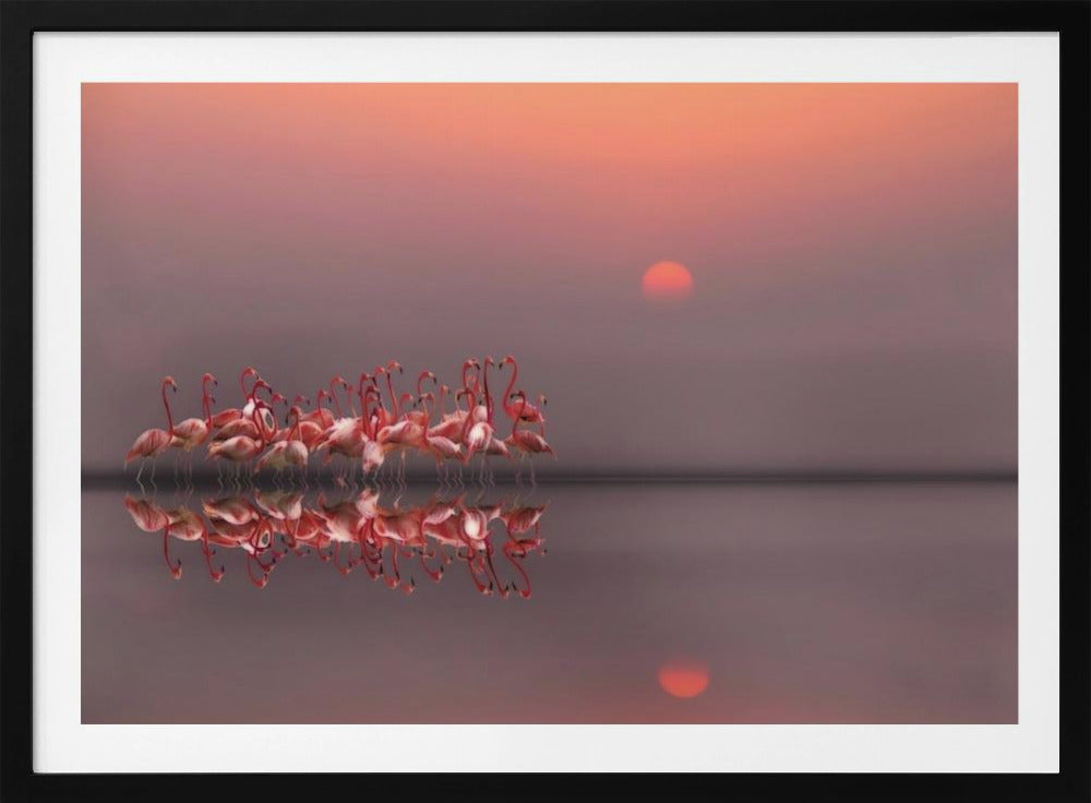 coucher de soleil violet | Posters - Affiche Artistique