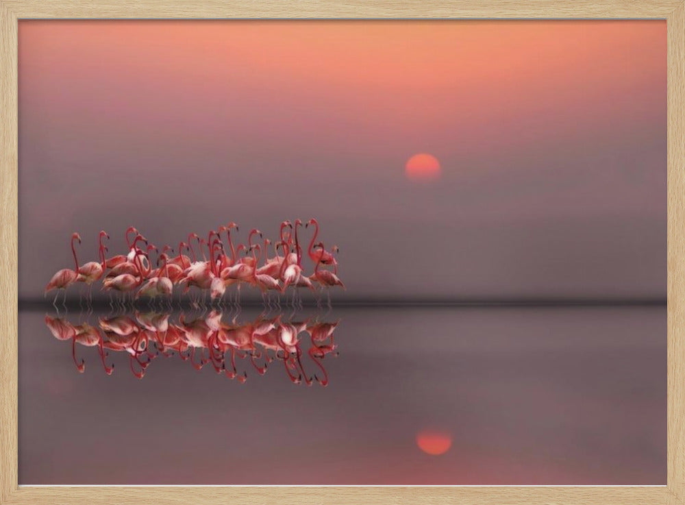 coucher de soleil violet | Posters - Affiche Artistique