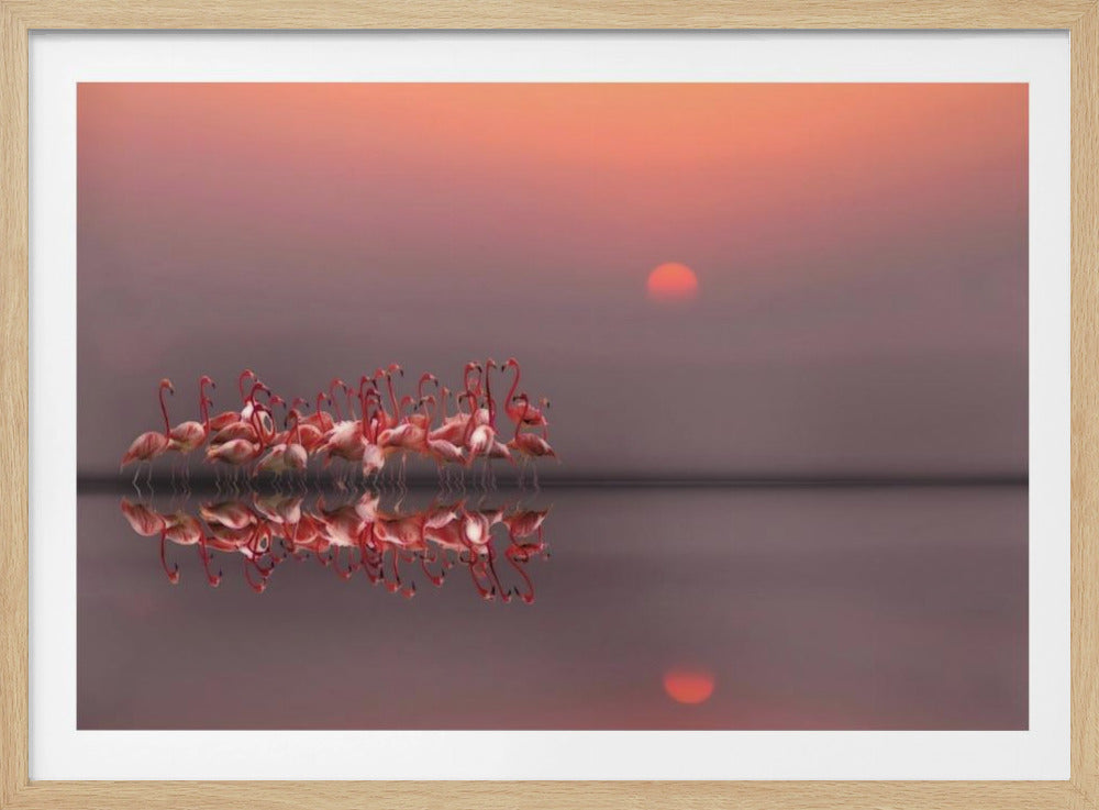 coucher de soleil violet | Posters - Affiche Artistique