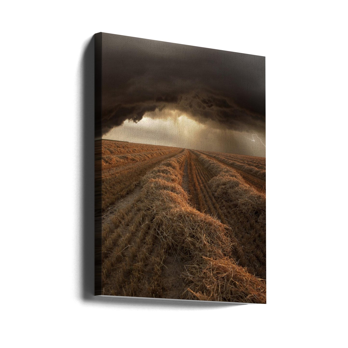 Namnlös | Canvas