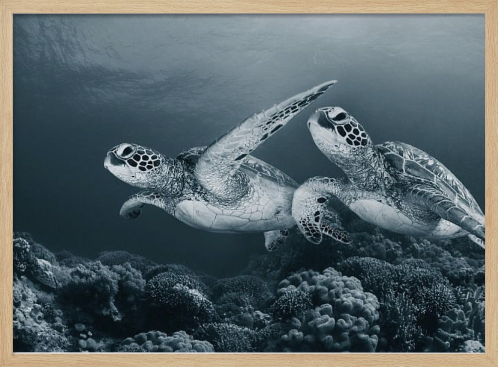 Twin dance | Poster