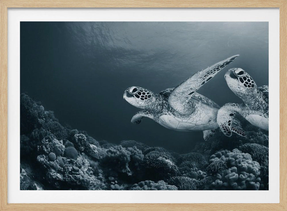 Tvillingdans | Poster