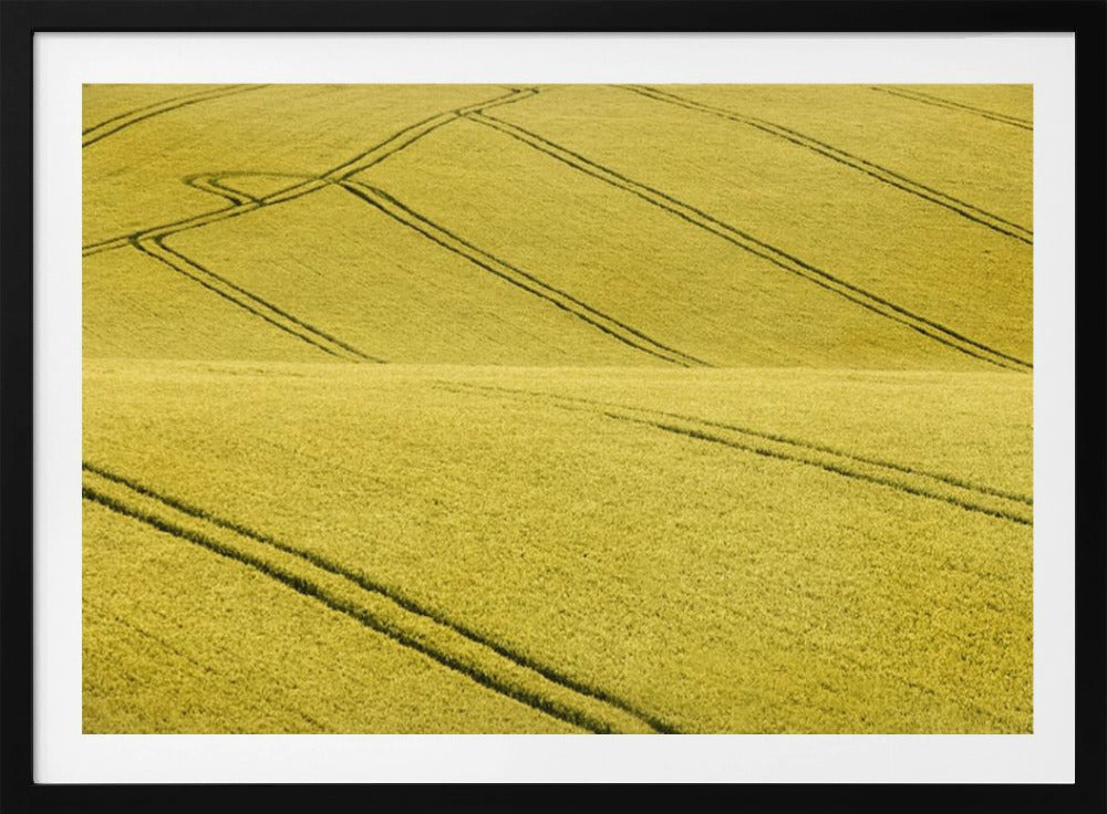 Feld Nr. 2 | Poster - Kunstdruck