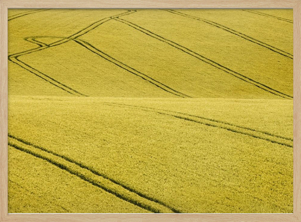 Feld Nr. 2 | Poster - Kunstdruck