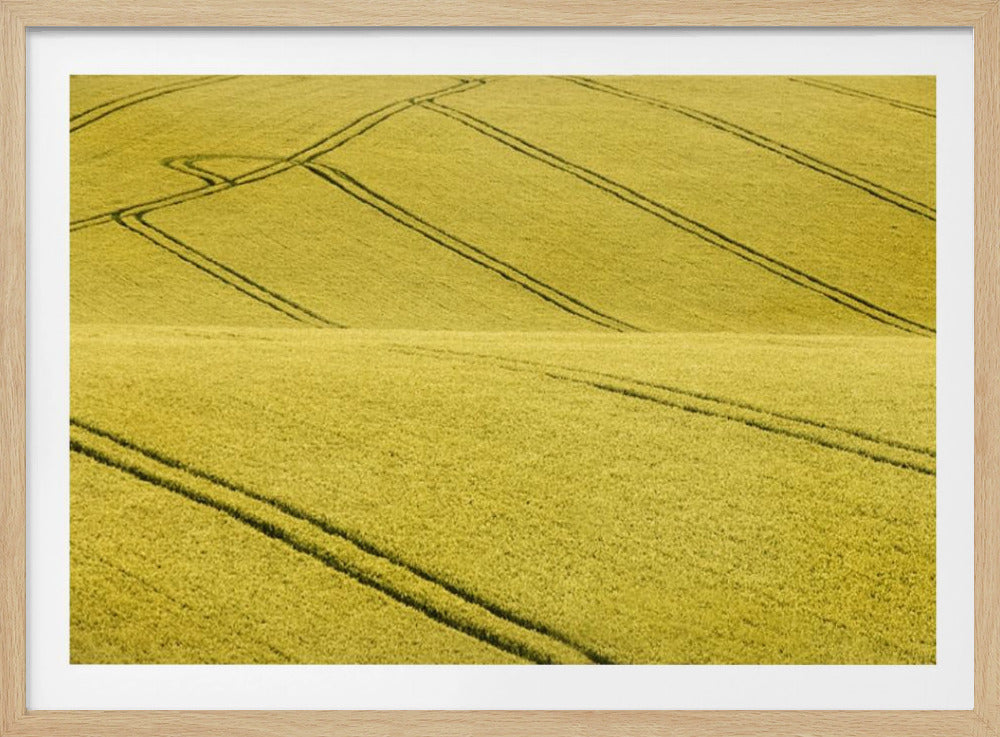 Feld Nr. 2 | Poster - Kunstdruck