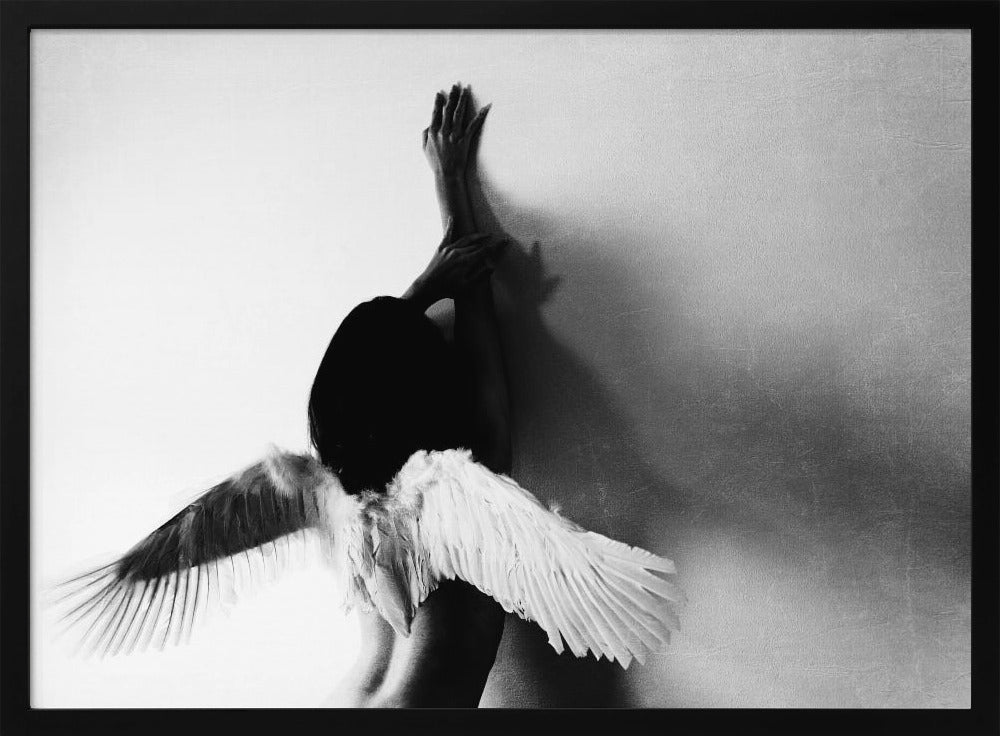 non volare | Poster - Stampe d’Arte
