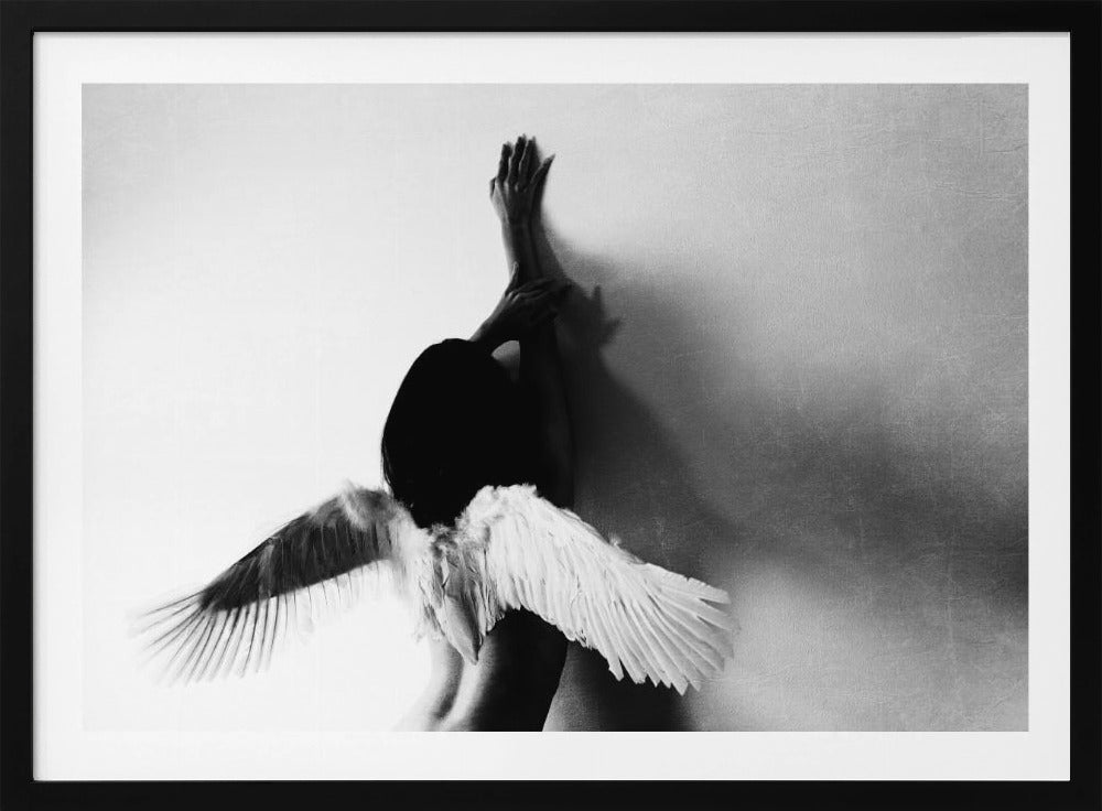 non volare | Poster - Stampe d’Arte
