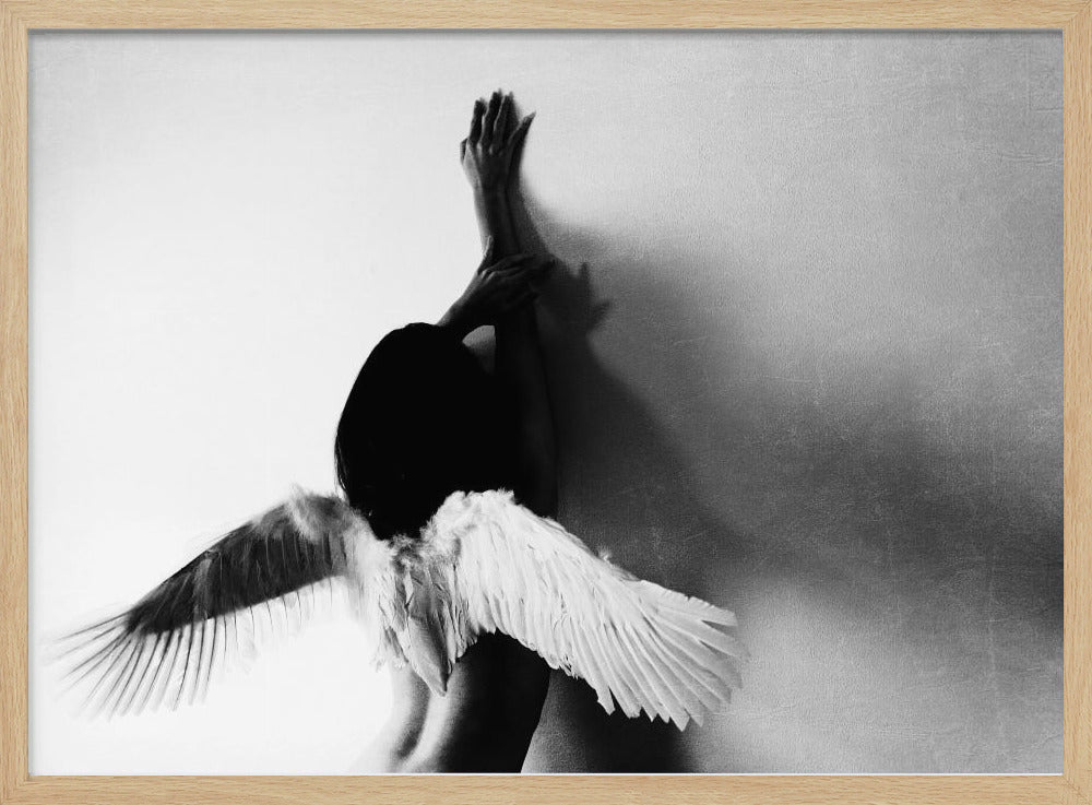 non volare | Poster - Stampe d’Arte