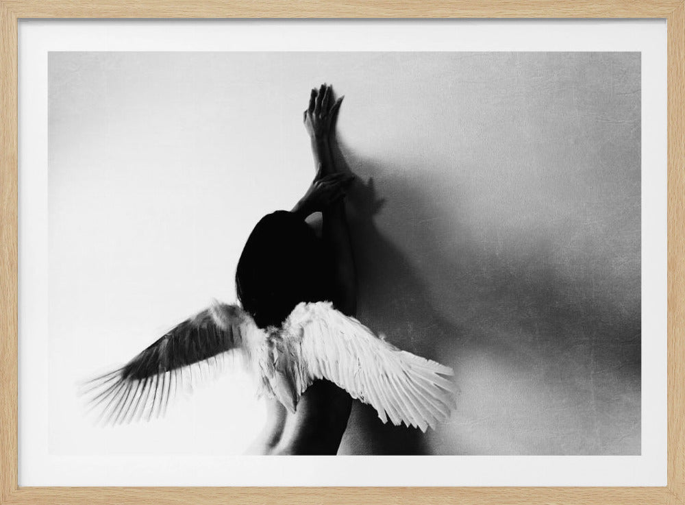 non volare | Poster - Stampe d’Arte