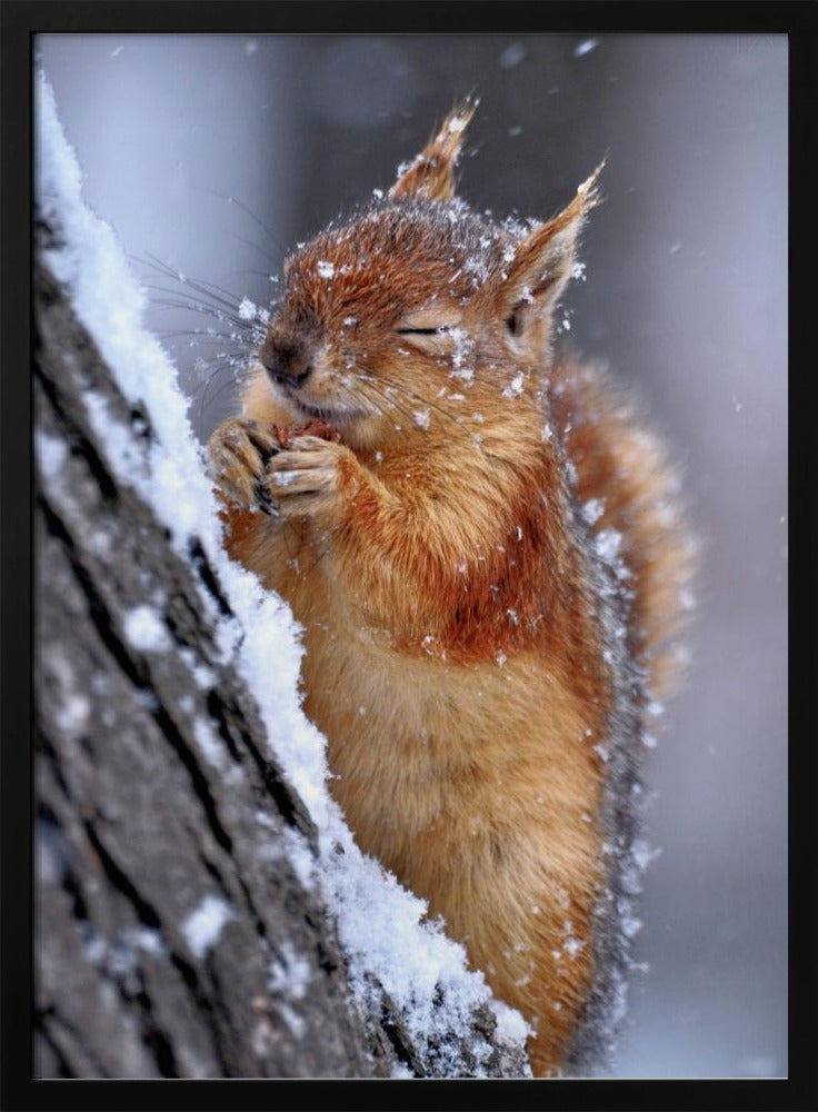 vinter | Affisch
