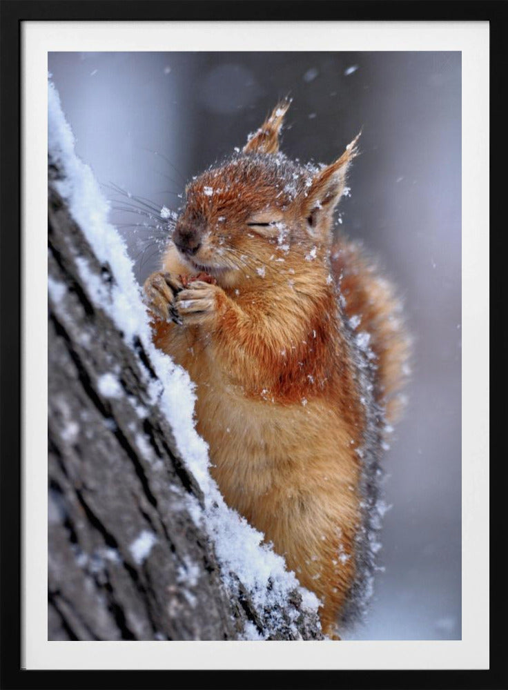 vinter | Affisch
