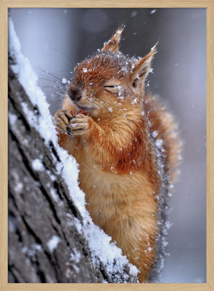 vinter | Affisch
