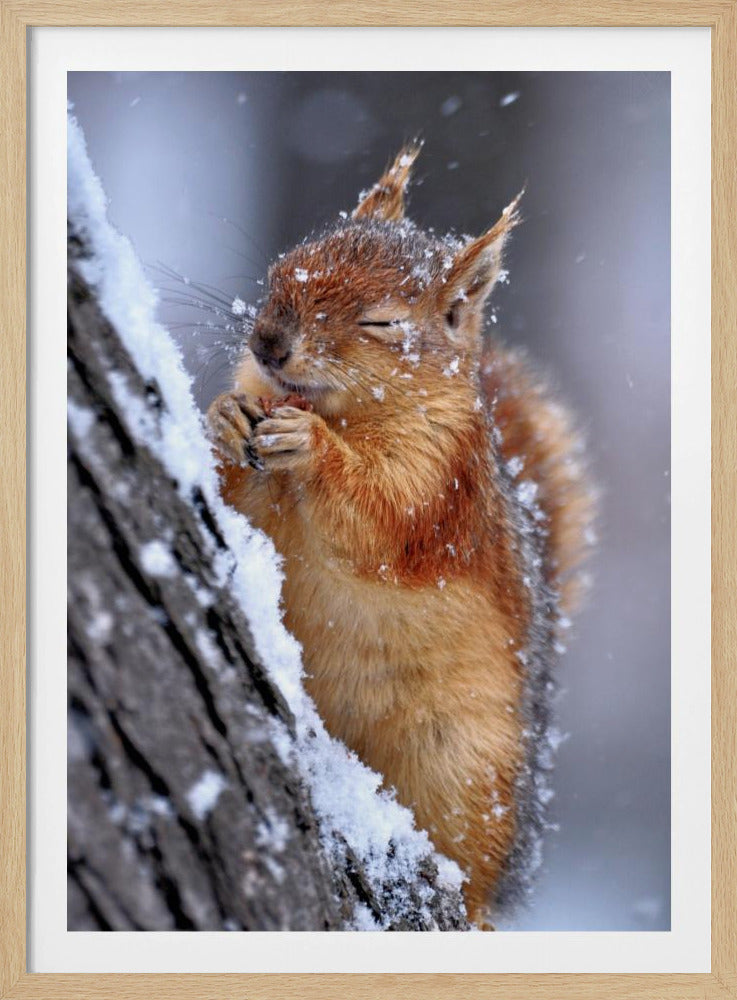 vinter | Affisch