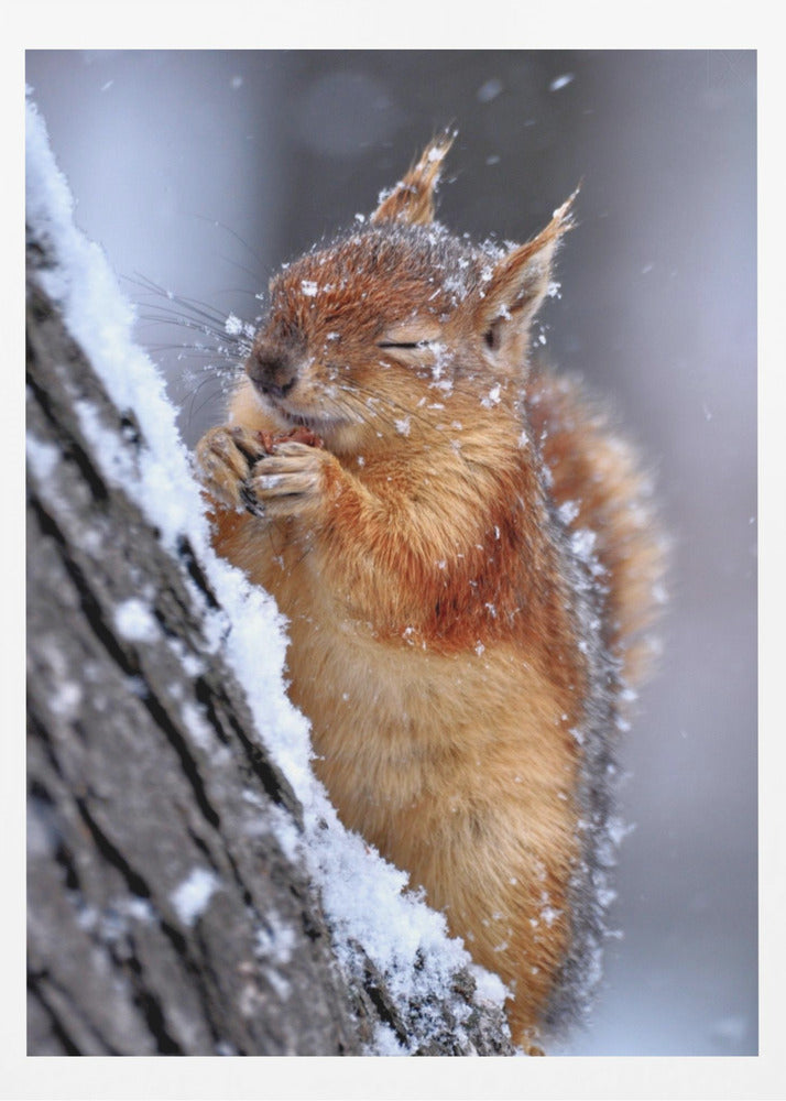 vinter | Affisch