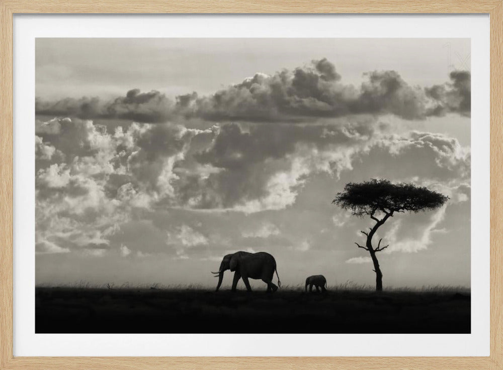 Silhuetter av Mara | Poster