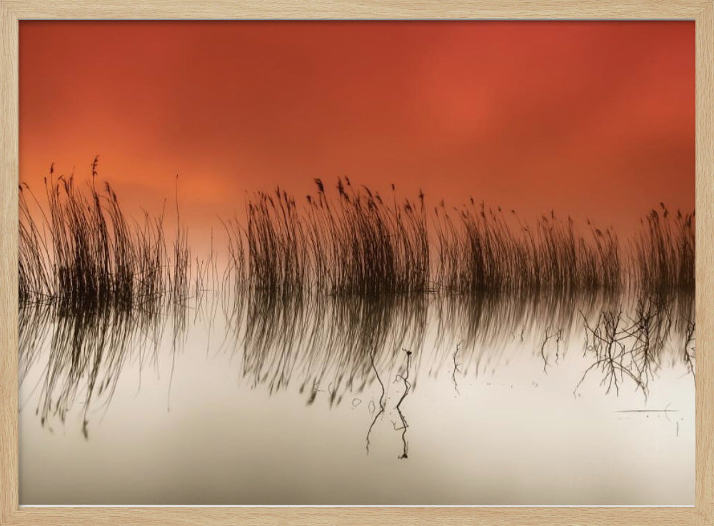 serenity | Poster
