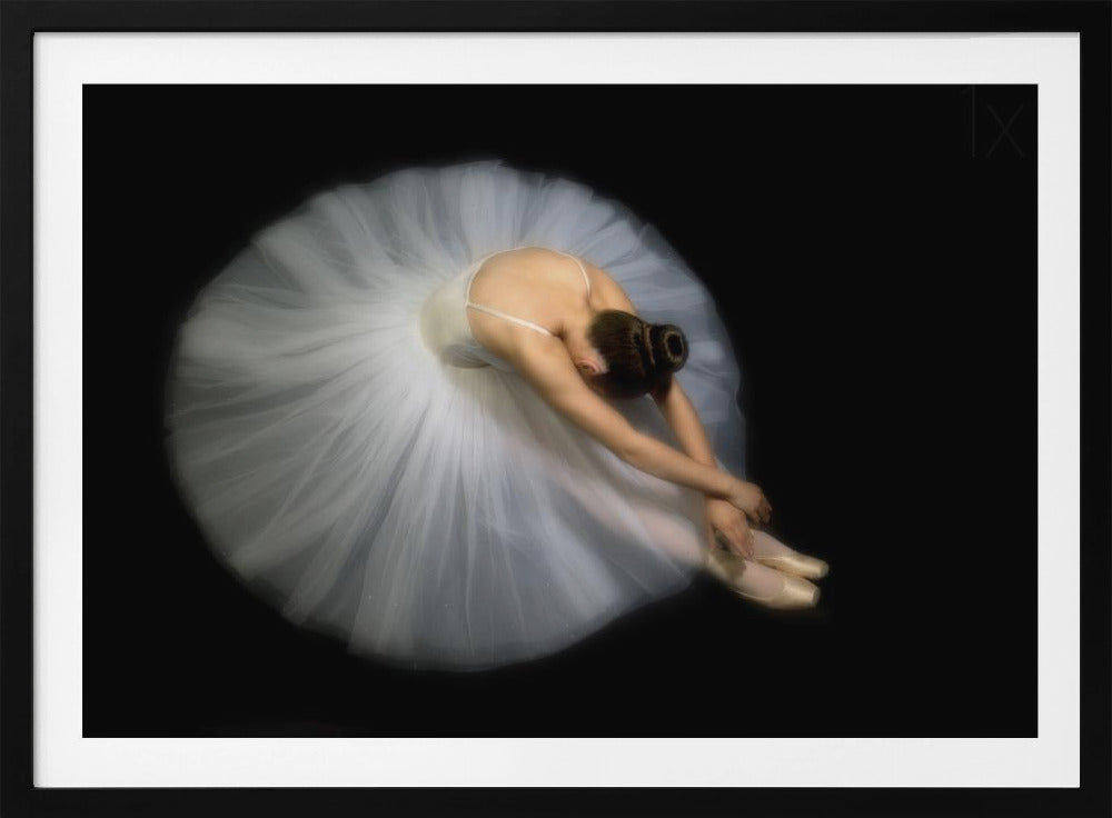 Eleganz | Poster - Kunstdruck